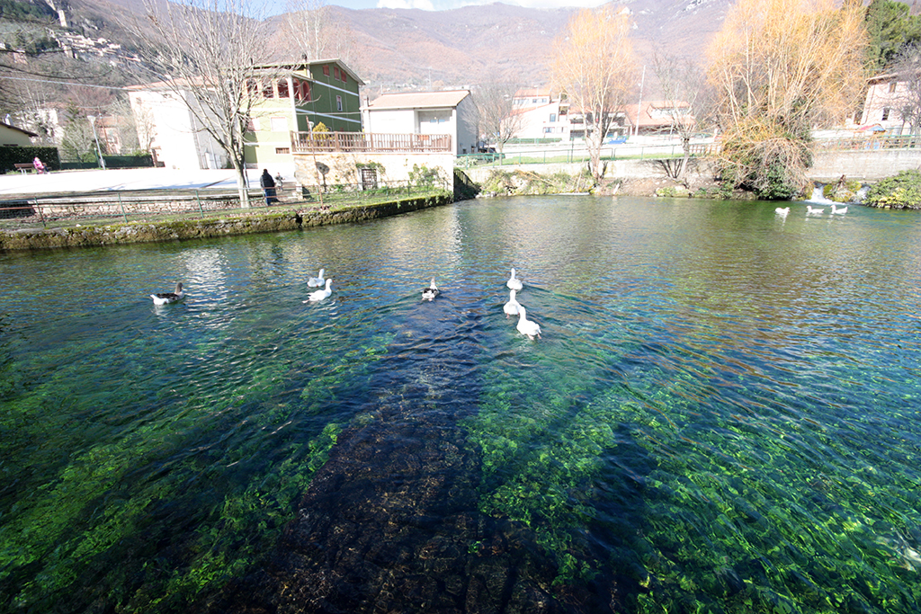 Laghetto dei cigni